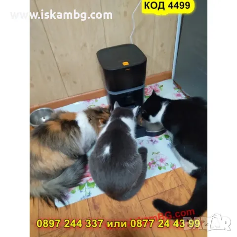 Смарт автоматична хранилка с камера и аудио ЧЕРЕН ЦВЯТ- КОД 4499, снимка 3 - Други стоки за животни - 50351613