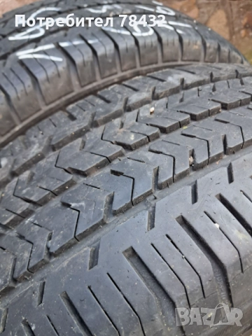 Бусови гуми 195/65/16 С - 2бр, снимка 2 - Гуми и джанти - 52922663