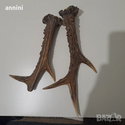 продавам  копчета  мвр  митница  и знаци  кобур  кожа, снимка 18 - Други ценни предмети - 17546624