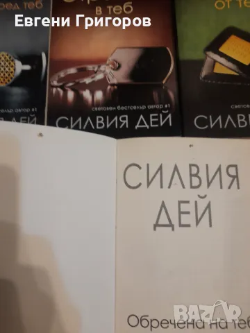 Силвия Дей, Орхан Памук и още нещо, снимка 2 - Художествена литература - 47345788