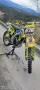 Suzuki rmz 250 2009, снимка 2