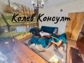 Продавам къща в с. Добрич, снимка 7