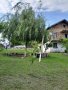 Къща в селото Иваново Русе, снимка 6