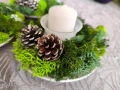 Кашпи със Скандинавски мъх , снимка 7