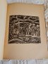 антикварна книга Жътва Владимир Русалиев първо издание 1931ва , снимка 3