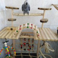 Игрални площадки за папагали, снимка 1 - За птици - 44564674