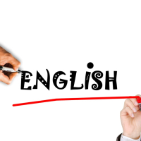 Индивидуална подготовка за матура по Английски език, снимка 1 - Уроци по чужди езици - 44695415
