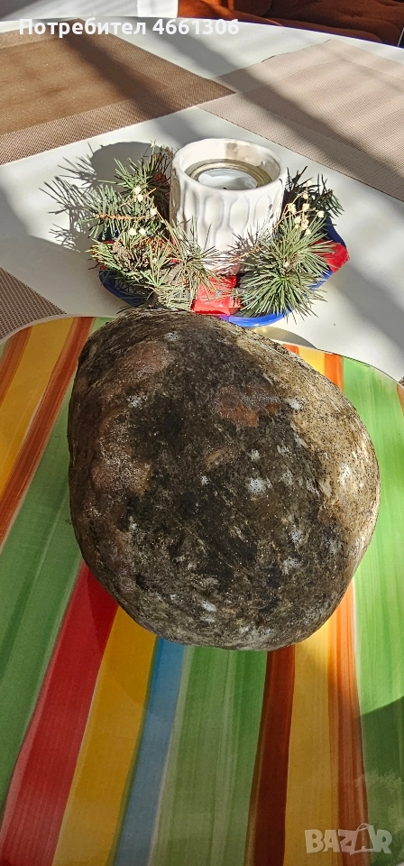 Ябълковска пуска Бабек домашни 25лв, снимка 1