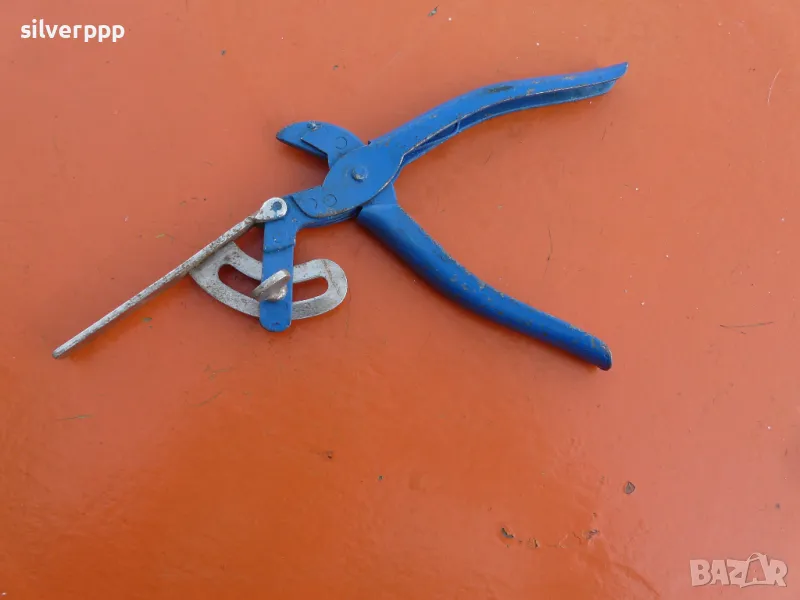 Български чапраз, снимка 1