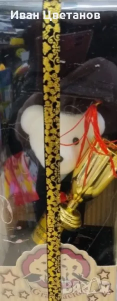 Мече с академична шапка и купа - Перфектният подарък за дипломиране, снимка 1