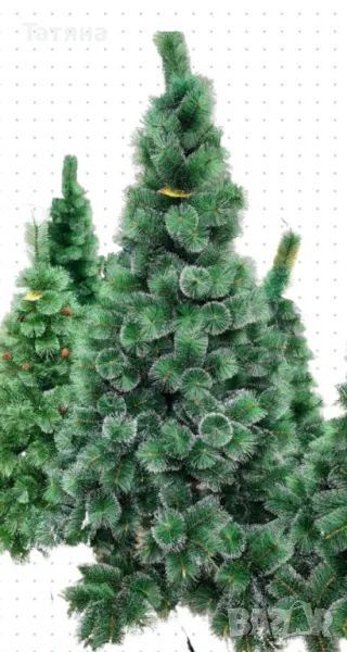 Коледна елха, снимка 1