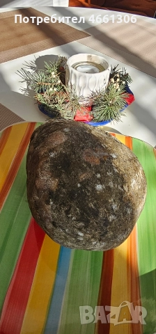 Ябълковска пуска Бабек домашни 25лв