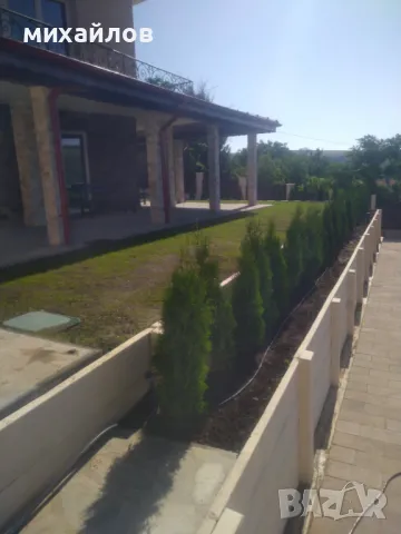 Терасиране на двор, снимка 8 - Саксии и кашпи - 49165275