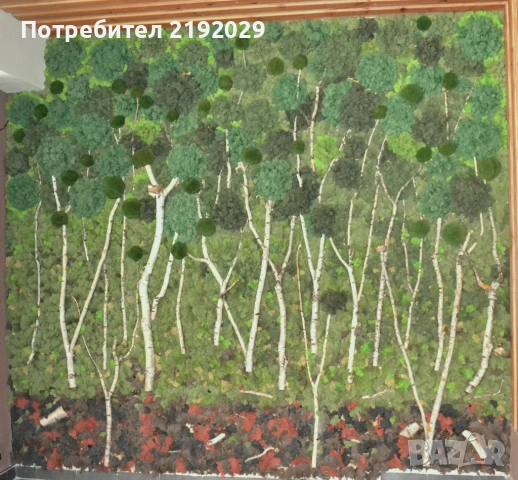 Зелена ДЕКОРАТИВНА СТЕНА от Скандинавски мъх „Гора“