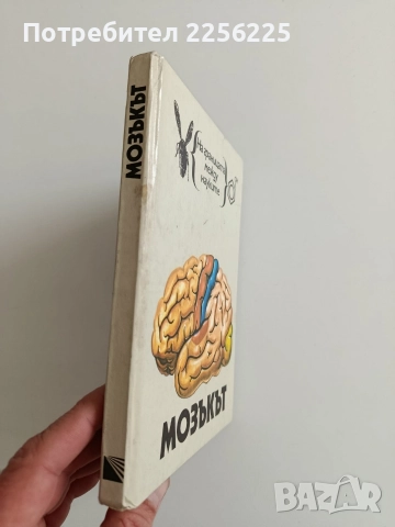 Мозъкът, снимка 6 - Специализирана литература - 52964378