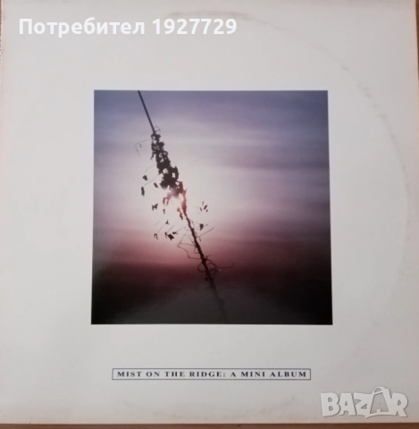 Грамофонни плочи за ценители, снимка 13 - Грамофонни плочи - 52178702