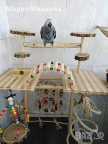 Игрални площадки за папагали