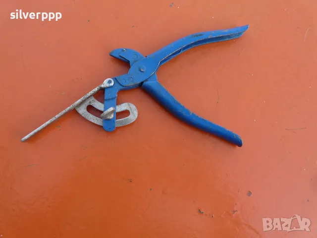 Български чапраз