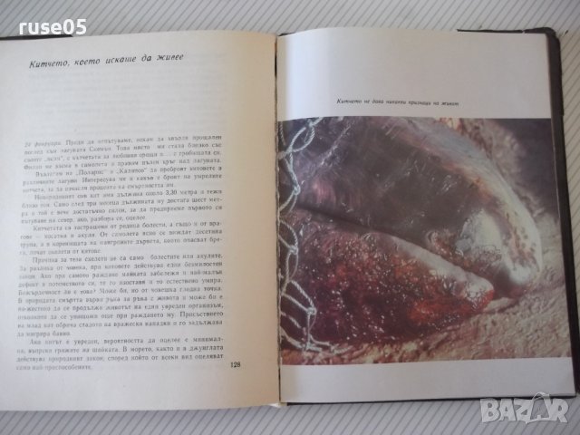 Книга "Китовете - Жак-Ив Кусто / Филип Диоле" - 192 стр., снимка 5 - Специализирана литература - 42599600