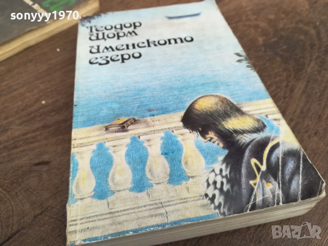 ИМЕНСКОТО ЕЗЕРО 2710251834LCHERY, снимка 7 - Художествена литература - 52202076