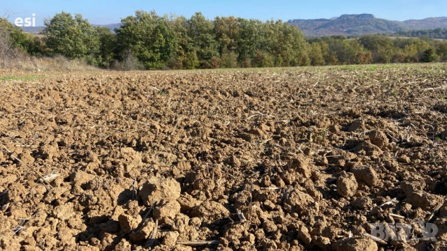 Евтина земя до Провадия - Дългопол, обл. Варна, снимка 7 - Земеделска земя - 53720204