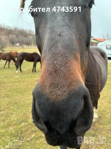 Парцел яз.Лобуш, снимка 4 - Парцели - 53562232