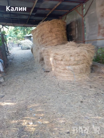 продавам Бали сено цена 8 лв.,бали слама,рола царевичак, снимка 7 - Други - 43155951