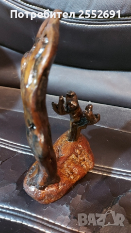 Природен уникат , снимка 5 - Други ценни предмети - 44748196