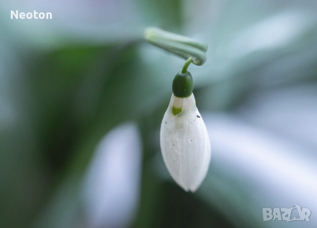 Продавам OLYMPUS PEN E-PL5, снимка 13 - Фотоапарати - 53785251