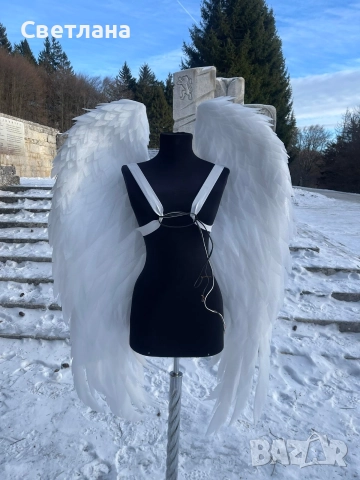 Ангелски крила по поръчка 