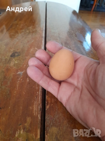 Старо дървено яйце #14, снимка 3 - Други ценни предмети - 53248149