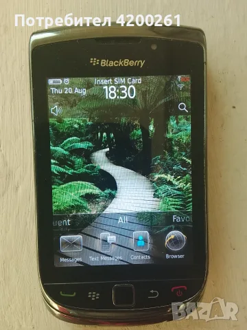 Blackberry 9800 слайд