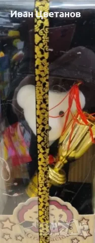 Мече с академична шапка и купа - Перфектният подарък за дипломиране