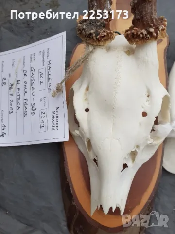 Декораций за стена с описание, снимка 3 - Декорация за дома - 48704489