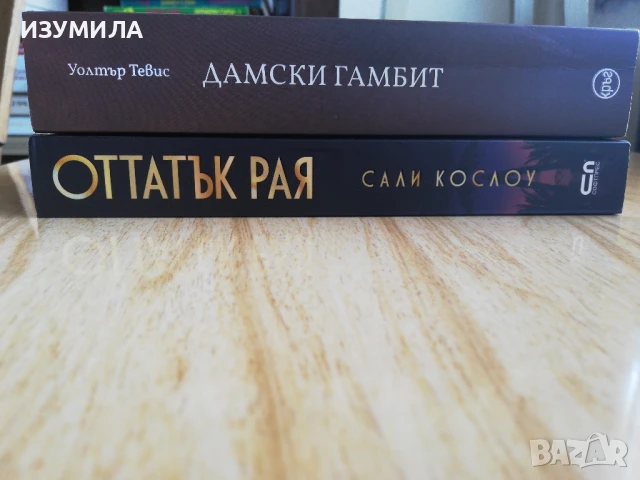 Оттатък рая - Сали Кослоу / Дамски гамбит - Уолтър Тевис, снимка 2 - Художествена литература - 51244611