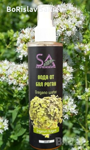 Флорални Води, снимка 5 - Други - 44264121