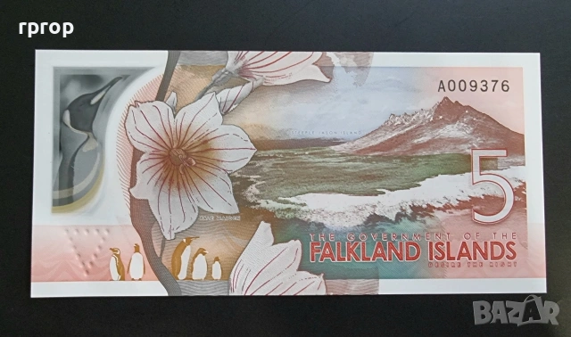 Фолкленски острови. 5 паунда. 2025 год. Чарлз. UNC., снимка 2 - Нумизматика и бонистика - 40458849