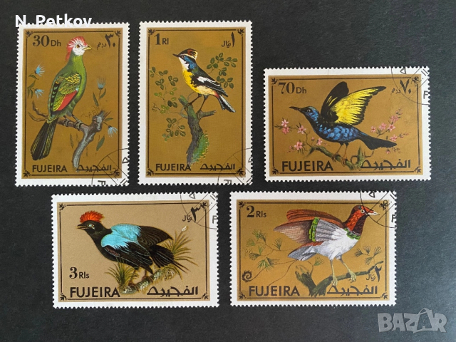 Фуджейра, Птици