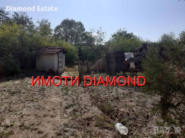 Къща в село Дряново общ. Симеоновград, снимка 12 - Къщи - 47299566