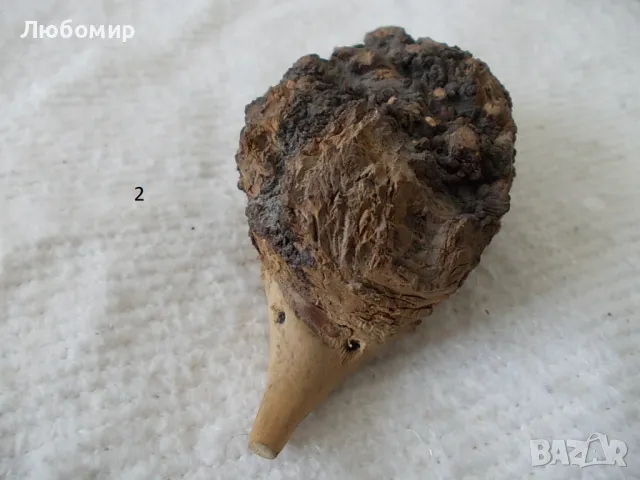 Семейство таралежи - от природата, снимка 6 - Колекции - 47343035