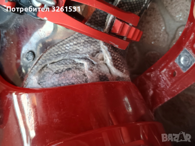 Ски обувки Rossignol Elite EXP 1 - номер 26.5, снимка 5 - Зимни спортове - 52682330