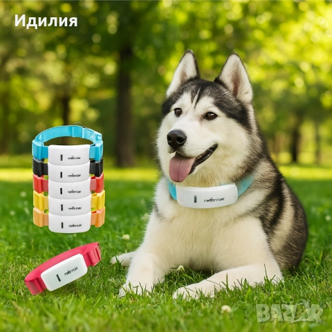 Тракер за домашен любимец - GPS локатор, снимка 2 - За кучета - 51698839