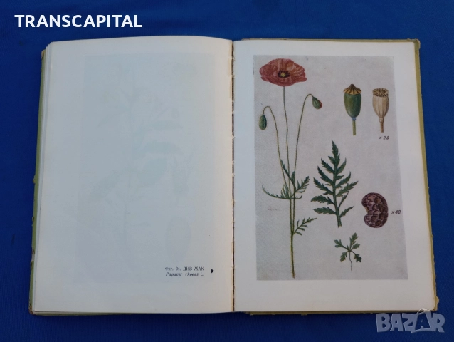 Борба с плевелите , снимка 11 - Специализирана литература - 51794322