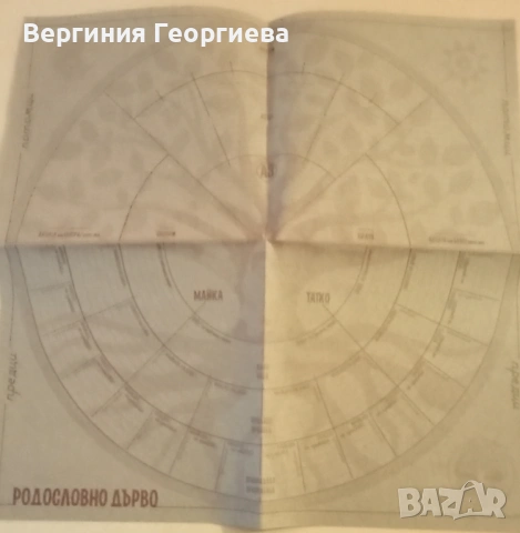 Споменик - заветник - родословно дърво , снимка 13 - Други - 53490364