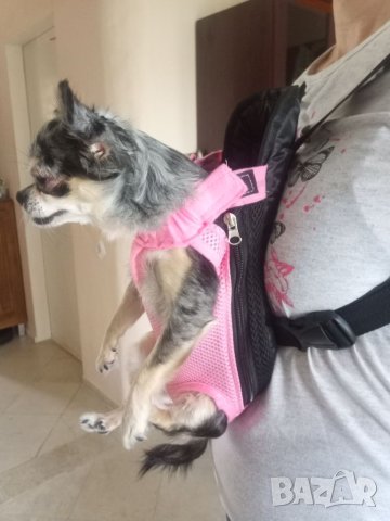 Кенгуру за кученца и котенца , снимка 5 - За кучета - 41246116