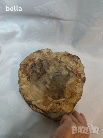 Антикварен съд от вкаменено дърво Материал: Естествен фосил 2 кг, снимка 6 - Антикварни и старинни предмети - 53590893