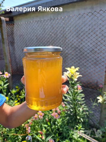Акациев мед реколта 2025 г - 100 % натурален , снимка 4 - Пчелни продукти - 33253147