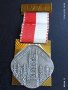 Медал кулата Бисмарк в Салзгитер Германия за КОЛЕКЦИЯ 24315, снимка 1