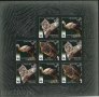 Чисти марки в малък лист WWF Фауна Щъркел Зубър Барс 2007 от Русия