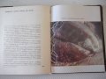 Книга "Китовете - Жак-Ив Кусто / Филип Диоле" - 192 стр., снимка 5